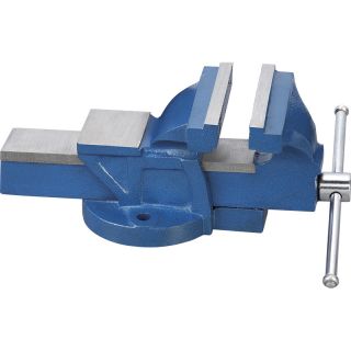 Bench Vice Cast Iron 100mm