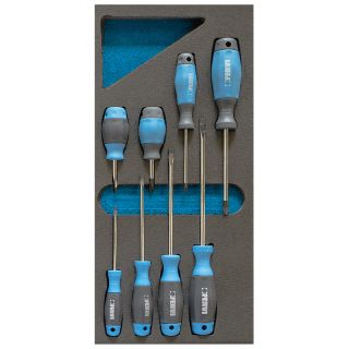 Mixed SCREWDRIVER Set in Foam Tray