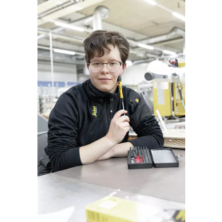 39971 MICRO BIT SET 65PCS IN STEEL CASE