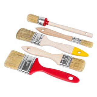 Paintbrushes Set 5 pc
